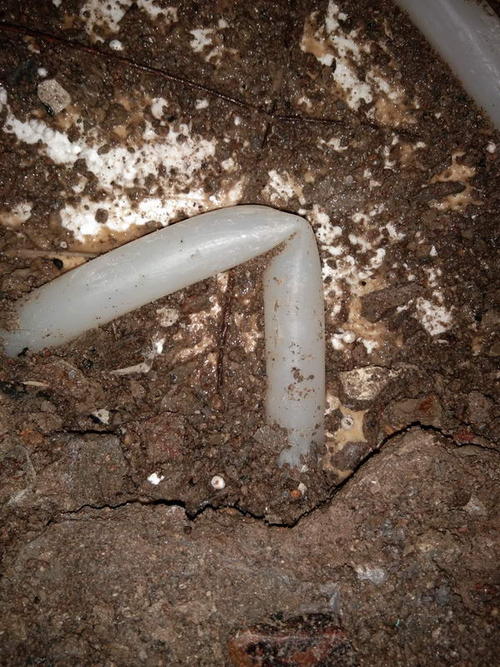 东光堵点精准查找